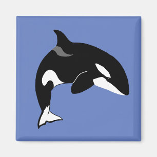 Orca Killer Whale Magneet
