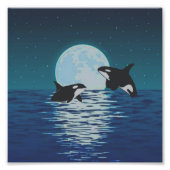 Orca Killer Whale Moonlight Foto Afdruk (Voorkant)