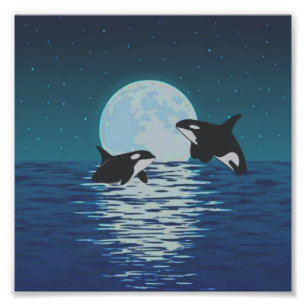 Orca Killer Whale Moonlight Foto Afdruk