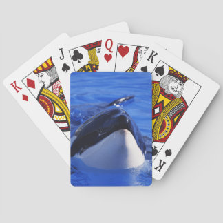 Orca Killer Whale Pokerkaarten
