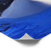 Orca Killer Whale Poster (Hoek)