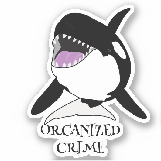 Orca Killer Whale Sticker (Voorkant)