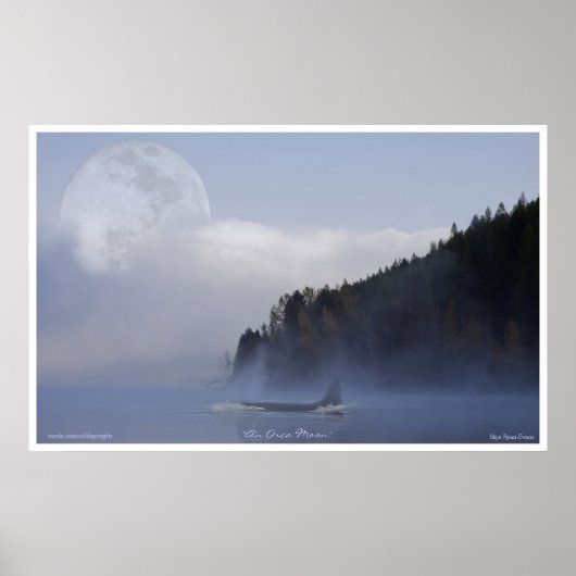 Orca Killer Whale & Super Moon Wildlife Art Poster (Voorkant)