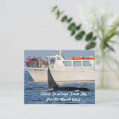 Orca Killer Whale - transient, washington Briefkaart (Staand voorkant)