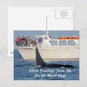 Orca Killer Whale - transient, washington Briefkaart (Voorkant / Achterkant)