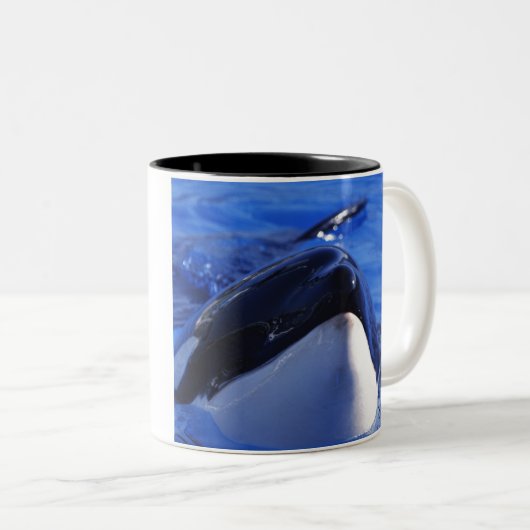 orca.Killer Whale Tweekleurige Koffiemok (Voorkant rechts)