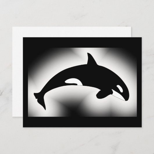 Orca Killer Whale White Briefkaart (Voorkant / Achterkant)