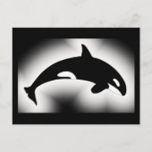 Orca Killer Whale White Briefkaart (Voorkant)