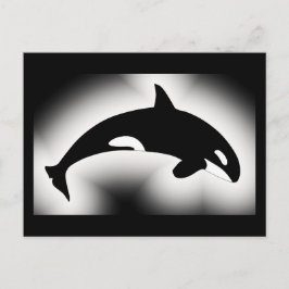 Orca Killer Whale White Briefkaart