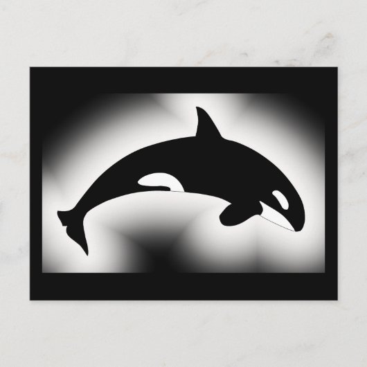 Orca Killer Whale White Briefkaart (Voorkant)