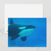 orca killerwalvis onderwaterblauw briefkaart (Voorkant / Achterkant)