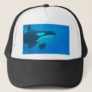 orca killerwalvis onderwaterblauw trucker pet
