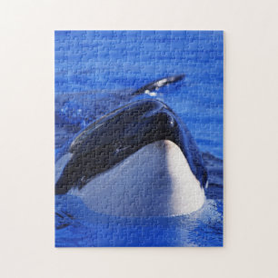 Orca Killr Whale Legpuzzel