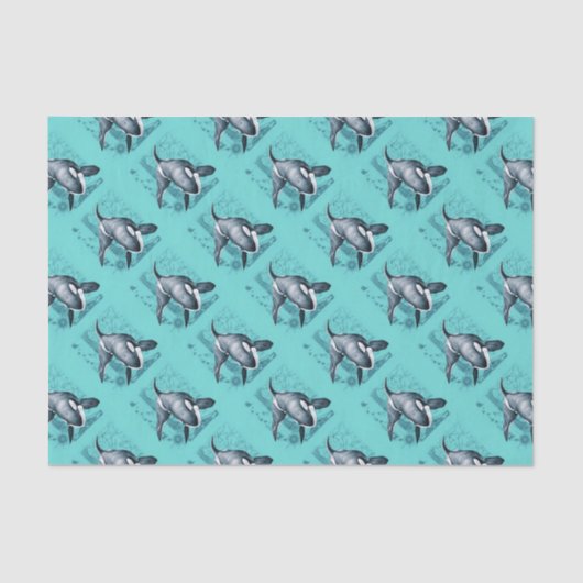 Orca Map Blauwgroen Tissuepapier (Voorkant)