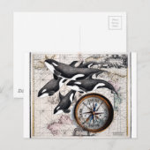 Orca Nautical Compass Briefkaart (Voorkant / Achterkant)
