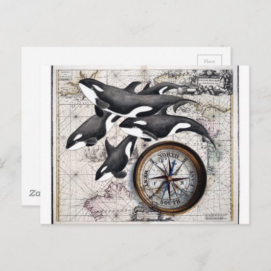 Orca Nautical Compass Briefkaart (Voorkant / Achterkant)