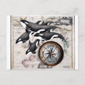 Orca Nautical Compass Briefkaart (Voorkant)