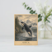 Orca Pacific Northwest VINTAGE Briefkaart (Staand voorkant)