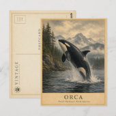 Orca Pacific Northwest VINTAGE Briefkaart (Voorkant / Achterkant)