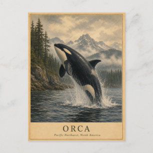 Orca Pacific Northwest VINTAGE Briefkaart