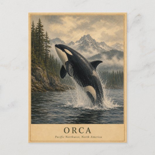Orca Pacific Northwest VINTAGE Briefkaart (Voorkant)