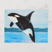 Orca Painting Briefkaart (Voorkant)