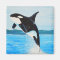 Orca Painting