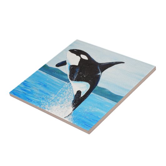 Orca Painting Tegeltje (Zijkant)