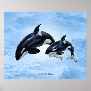 Orca - Poster
