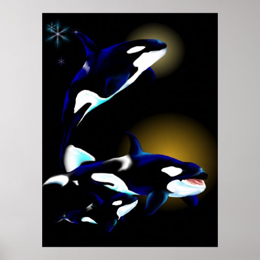 Orca Poster (Voorkant)