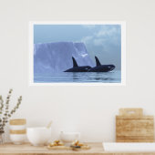 ORCA PRINT (Keuken)