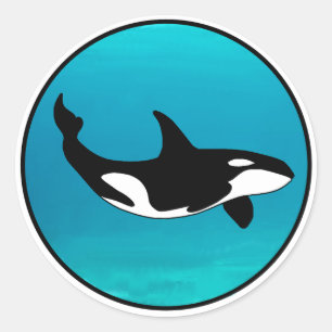 Orca Ronde Sticker