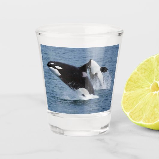 Orca Shot Glas (Voorkant)