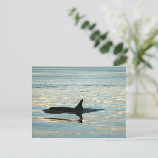 Orca Silhouette Briefkaart (Staand voorkant)