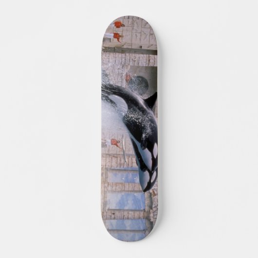 Orca Skateboard (Voorkant)