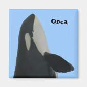Orca Spyhop Magnet (Voorkant)
