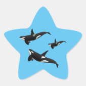 Orca Ster Sticker (Voorkant)