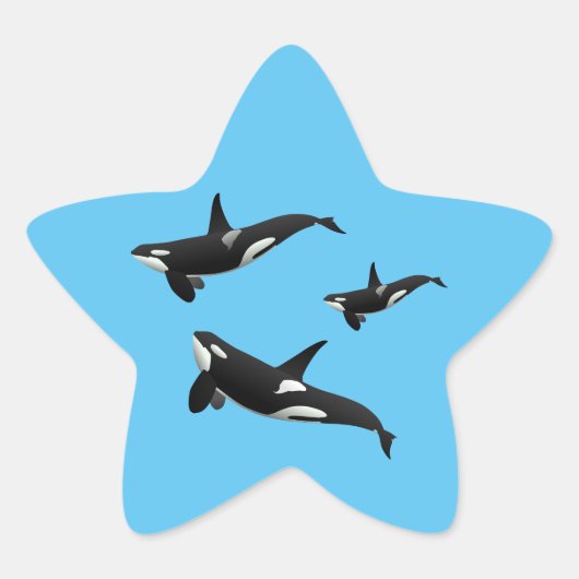 Orca Ster Sticker (Voorkant)
