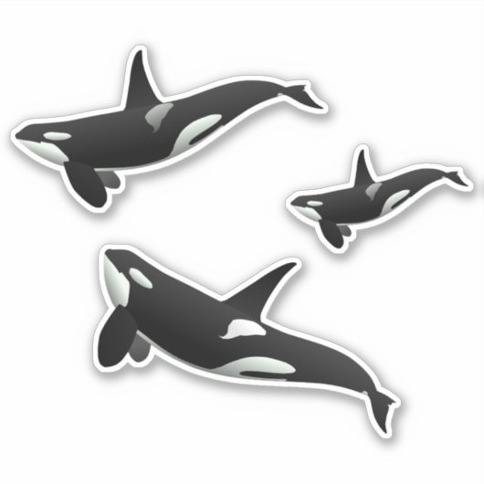 Orca Sticker (Voorkant)