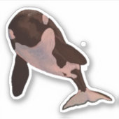 Orca Sticker (Voorkant)