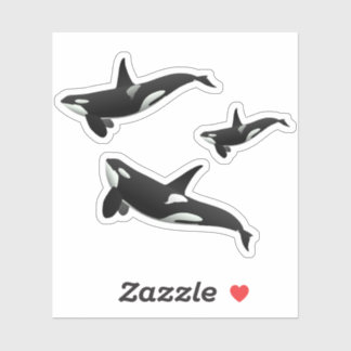 Orca Sticker