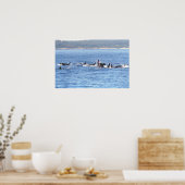 Orca Superpod Framed Print (Keuken)