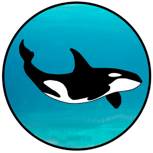 Orca T-shirt
