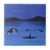 Orca Tegeltje (Voorkant)