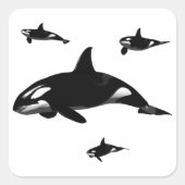 Orca Vierkante Sticker (Voorkant)