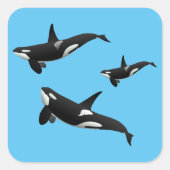 Orca Vierkante Sticker (Voorkant)