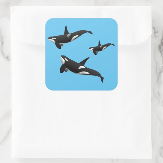 Orca Vierkante Sticker (Tas)