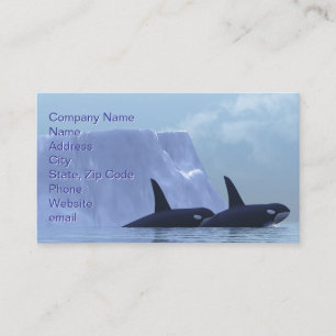 Orca Visitekaartje