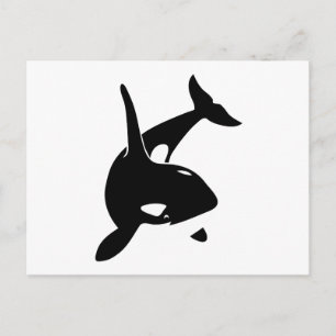 orca wal dolphin delphin schwertwal walvis briefkaart