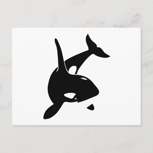 orca wal dolphin delphin schwertwal walvis briefkaart (Voorkant)